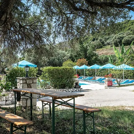 Anemona G *