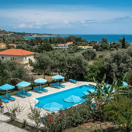 Anemona G