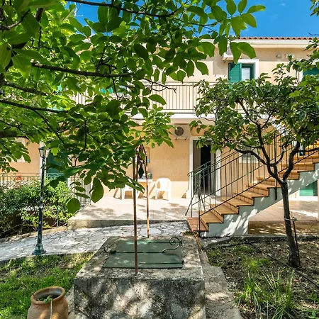 Anemona G *
