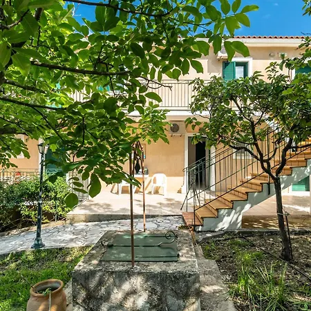 Anemona G *