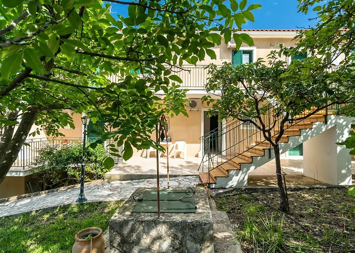 Anemona G *